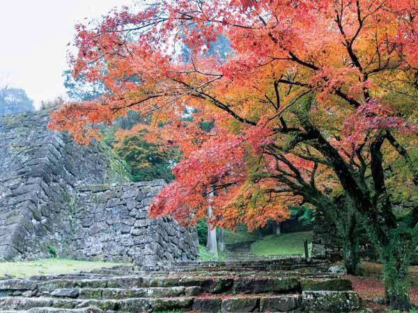 人吉・あさぎり地域の歴史と文化を巡る旅